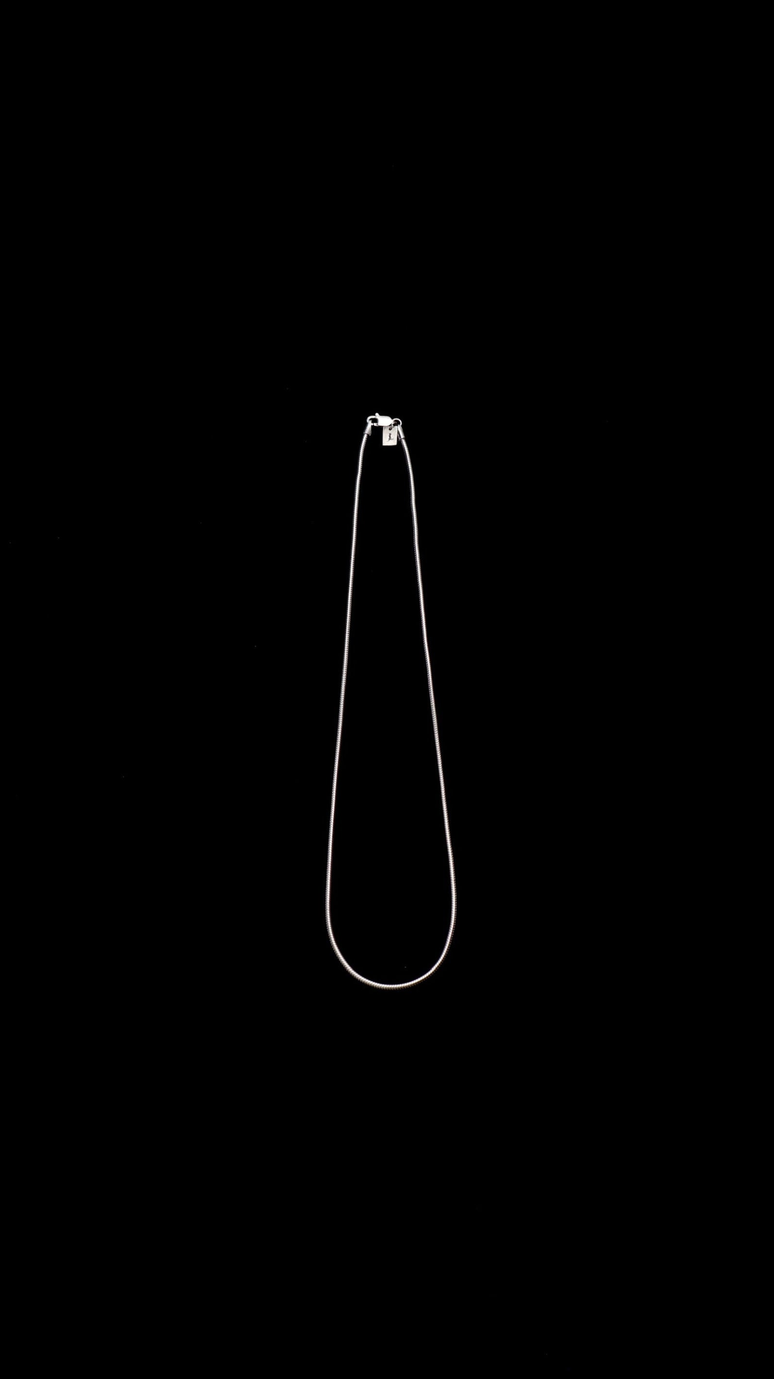 Silver Snake Chain Necklace