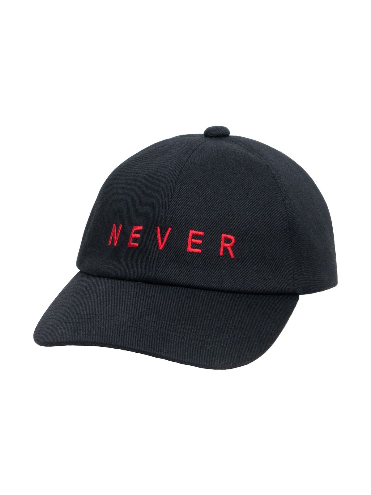 NEVER SURRENDER