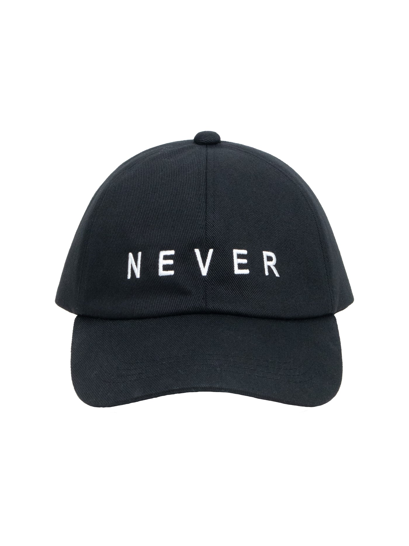 "NEVER SURRENDER" 6p cap