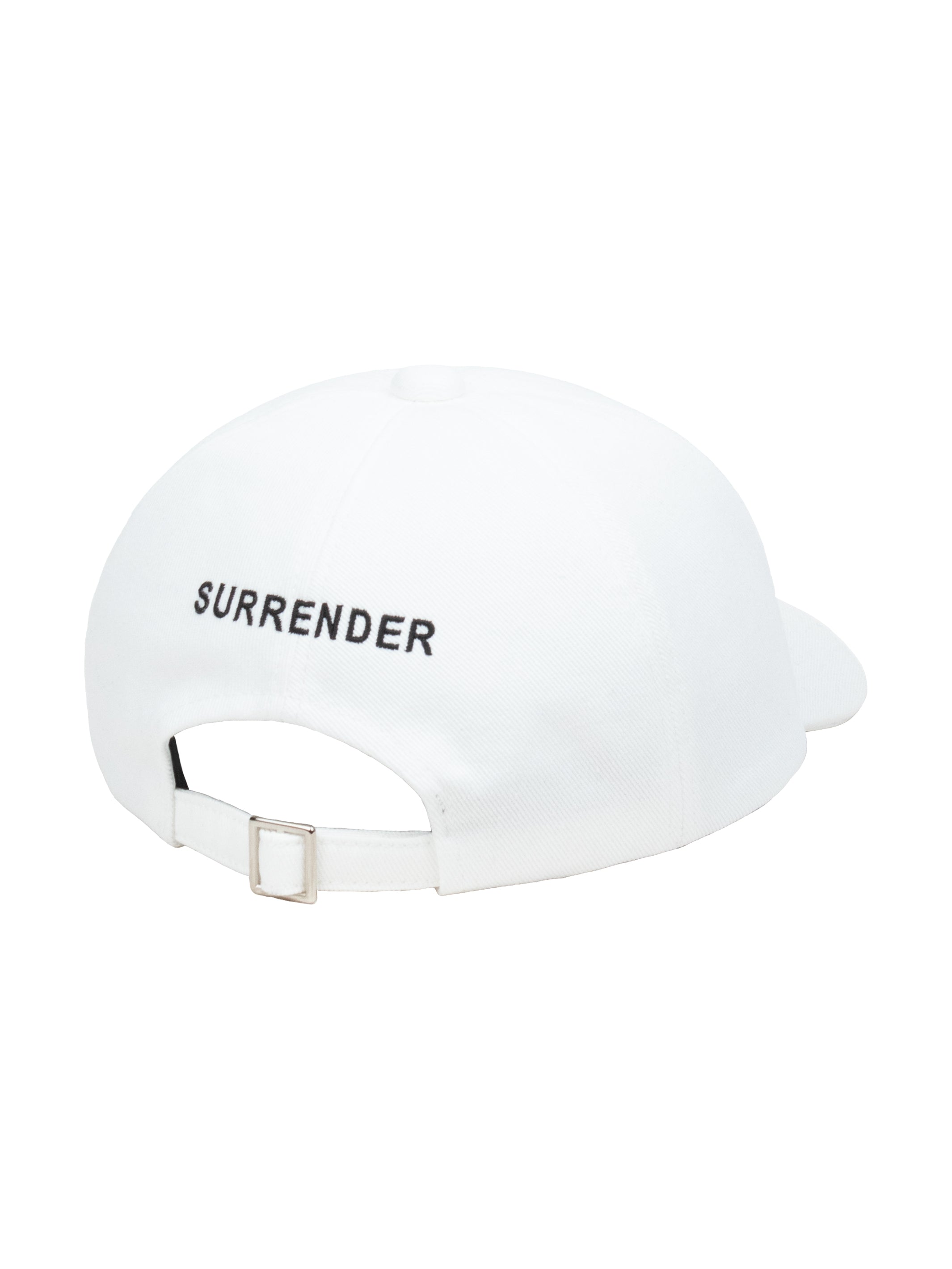 NEVER SURRENDER