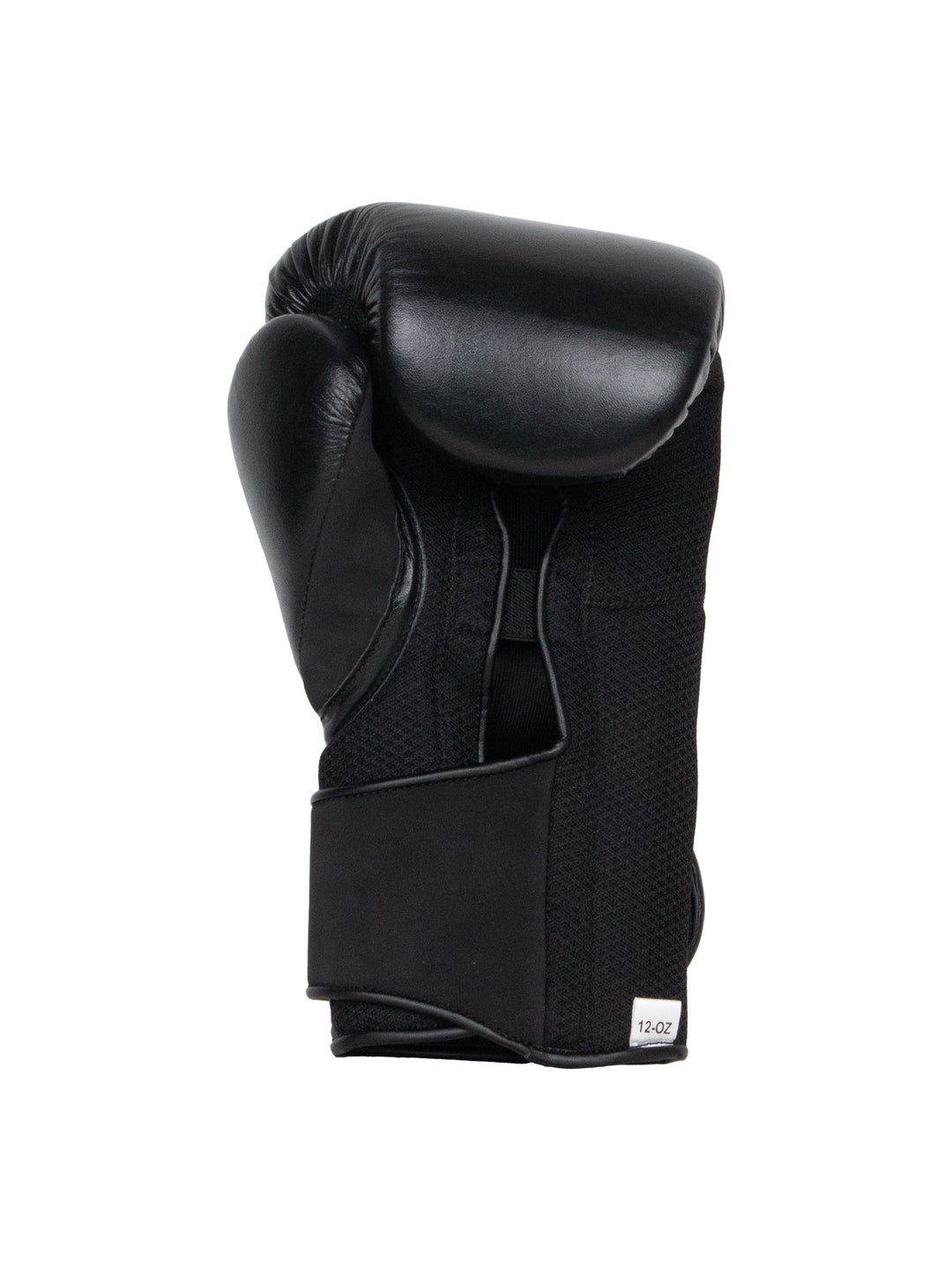 春に散る X WDS X EVERLAST BOXING GLOVE 10oz（Hook & loop