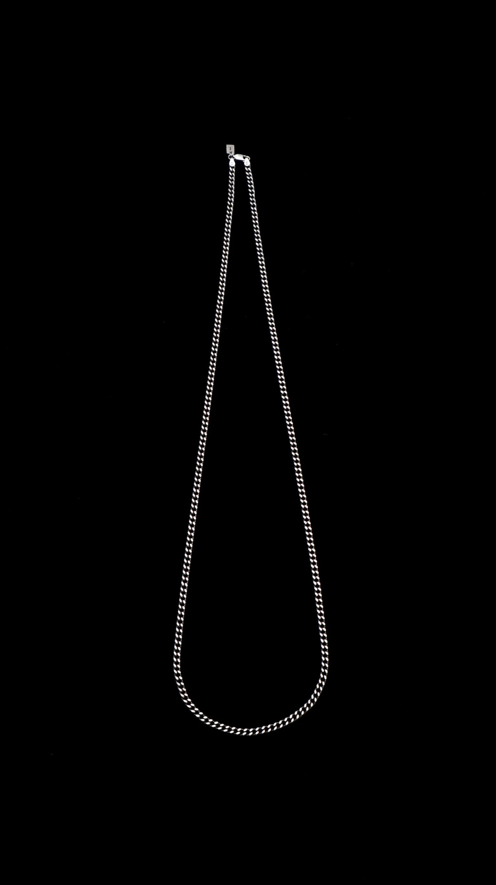 CURB CHAIN LONG NECKLACE