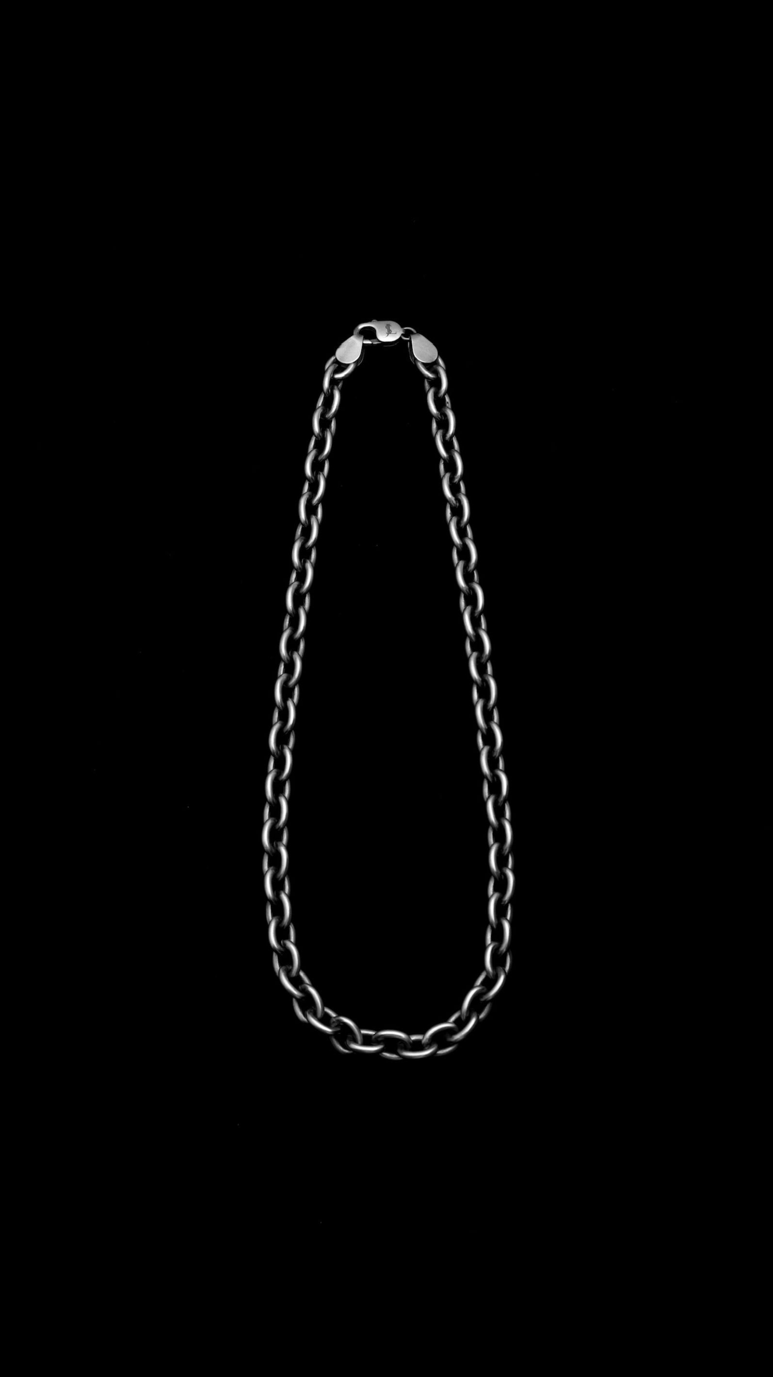 Silver Chain Short Necklace